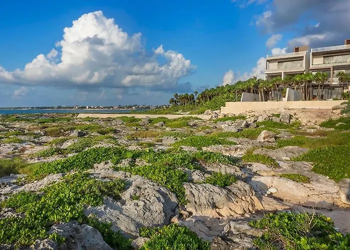 Pousada Oceanview 4br Concierge Service Tulum